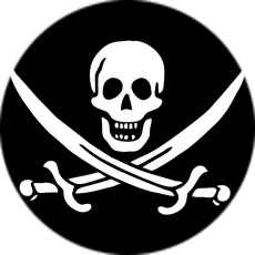 Pod pirátskou vlajkou